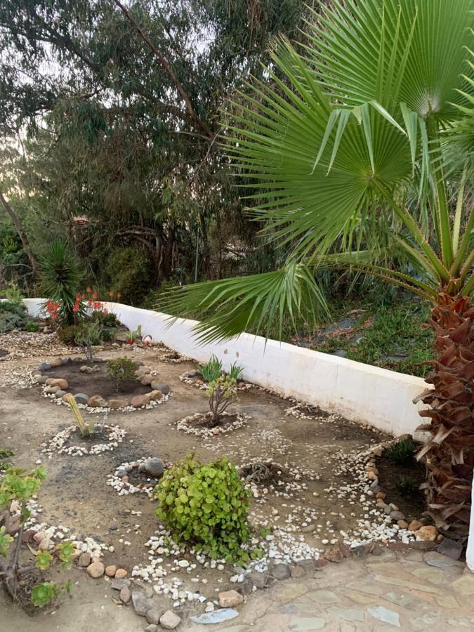 איסלה כריסטינה Casa Las Adelfas מראה חיצוני תמונה